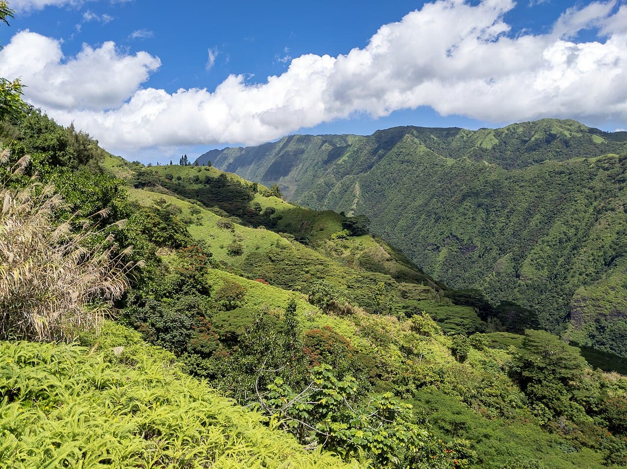 Zielone doliny i granie w interiorze Tahiti, widok z punktu Le Belvédère